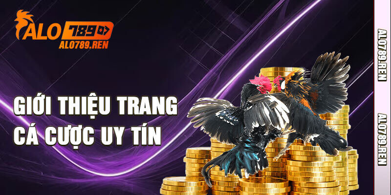 Giới thiệu trang cược uy tín Alo789